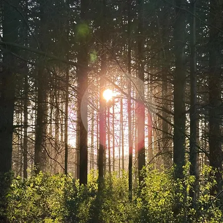 Ankerplatz Apartmán *