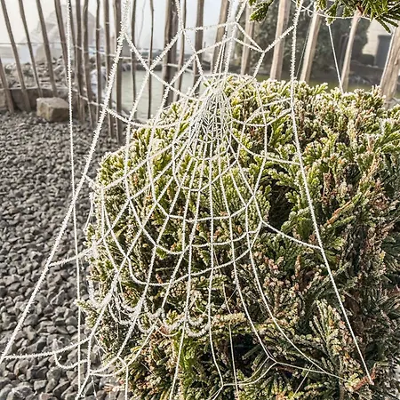 Lejlighed Ankerplatz *