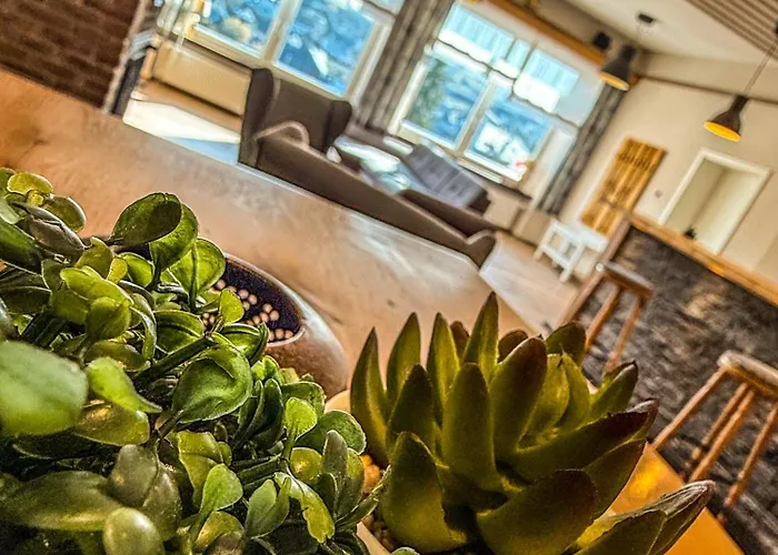 Ankerplatz Apartamento