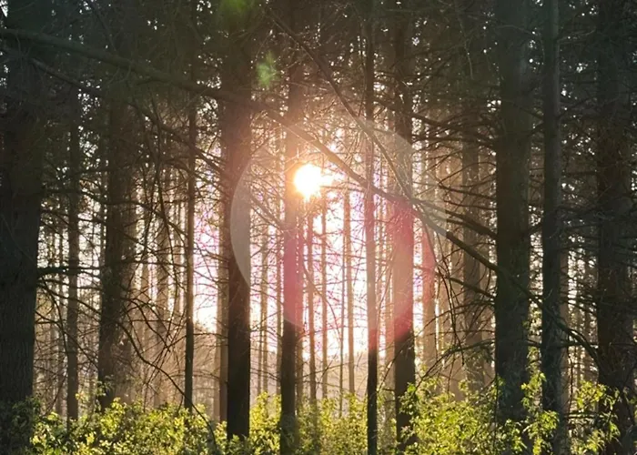 Ankerplatz Lejlighed *