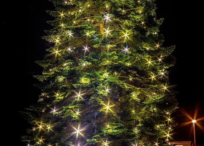 Ankerplatz * Schalkenmehren