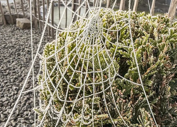 Lejlighed Ankerplatz *