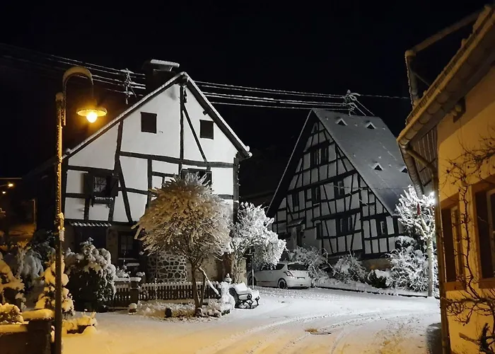 Ankerplatz Lejlighed